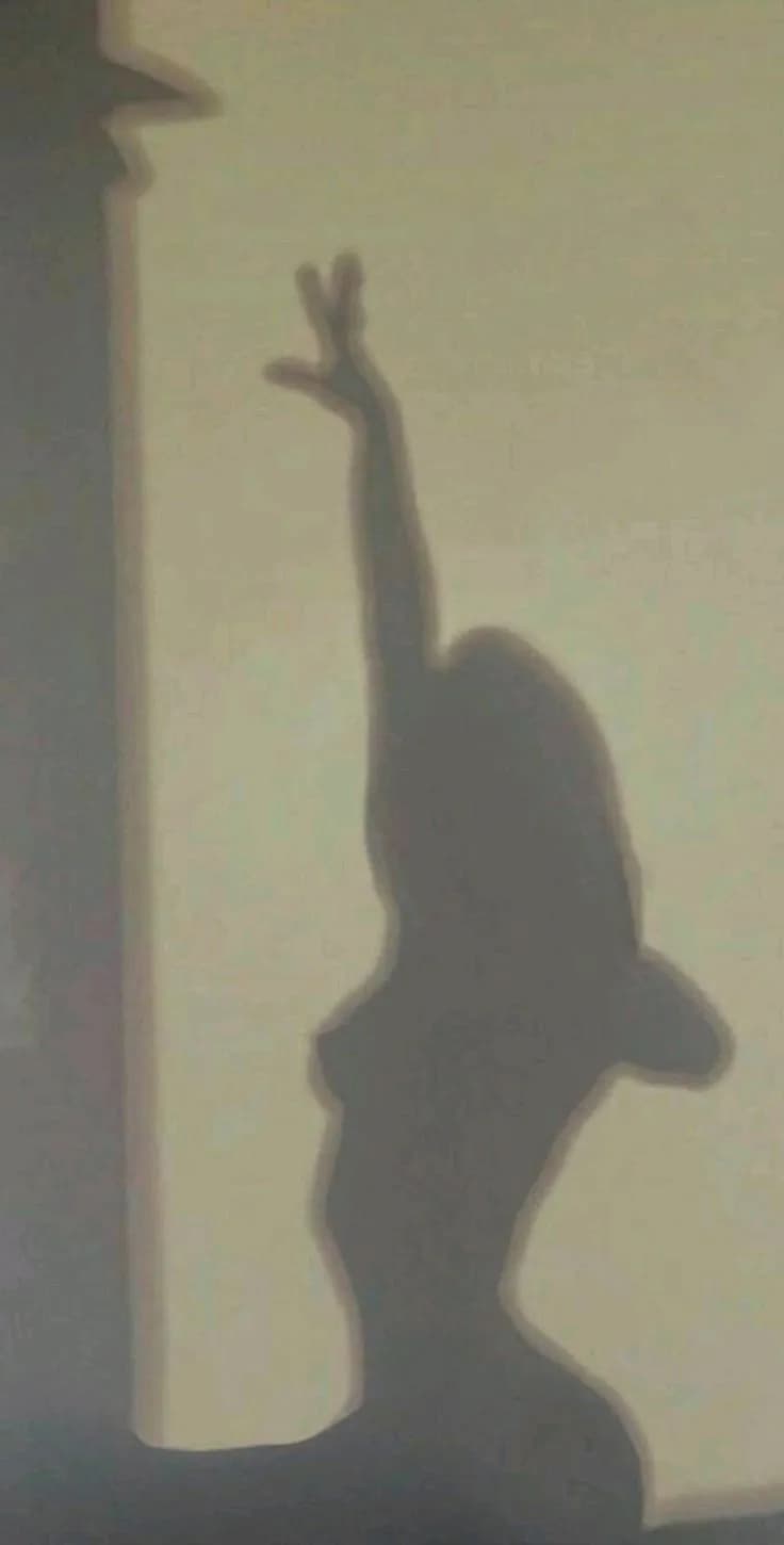 Darksnake_ – MYM creator profile picture