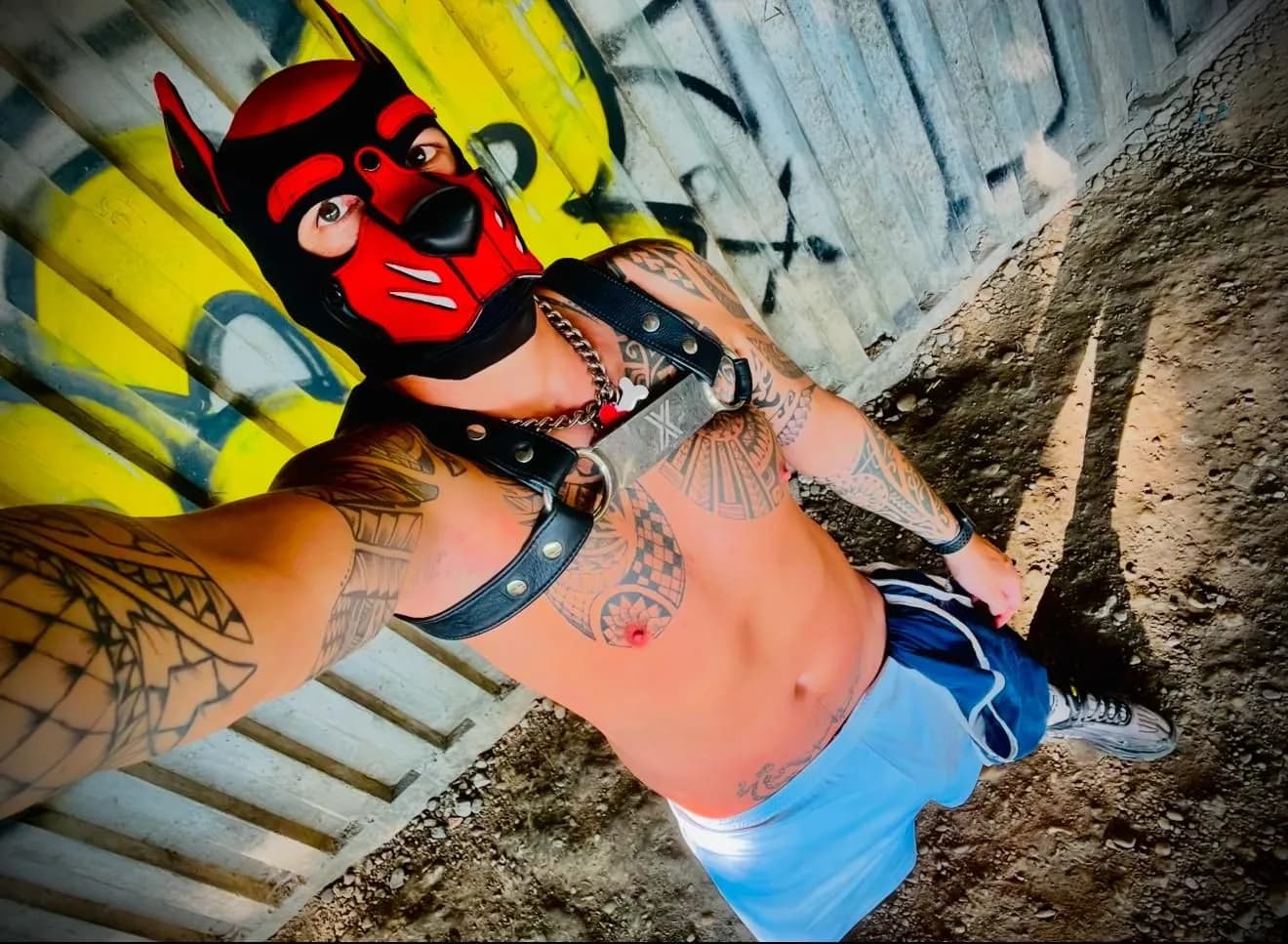 Bodar20cm – MYM creator profile picture