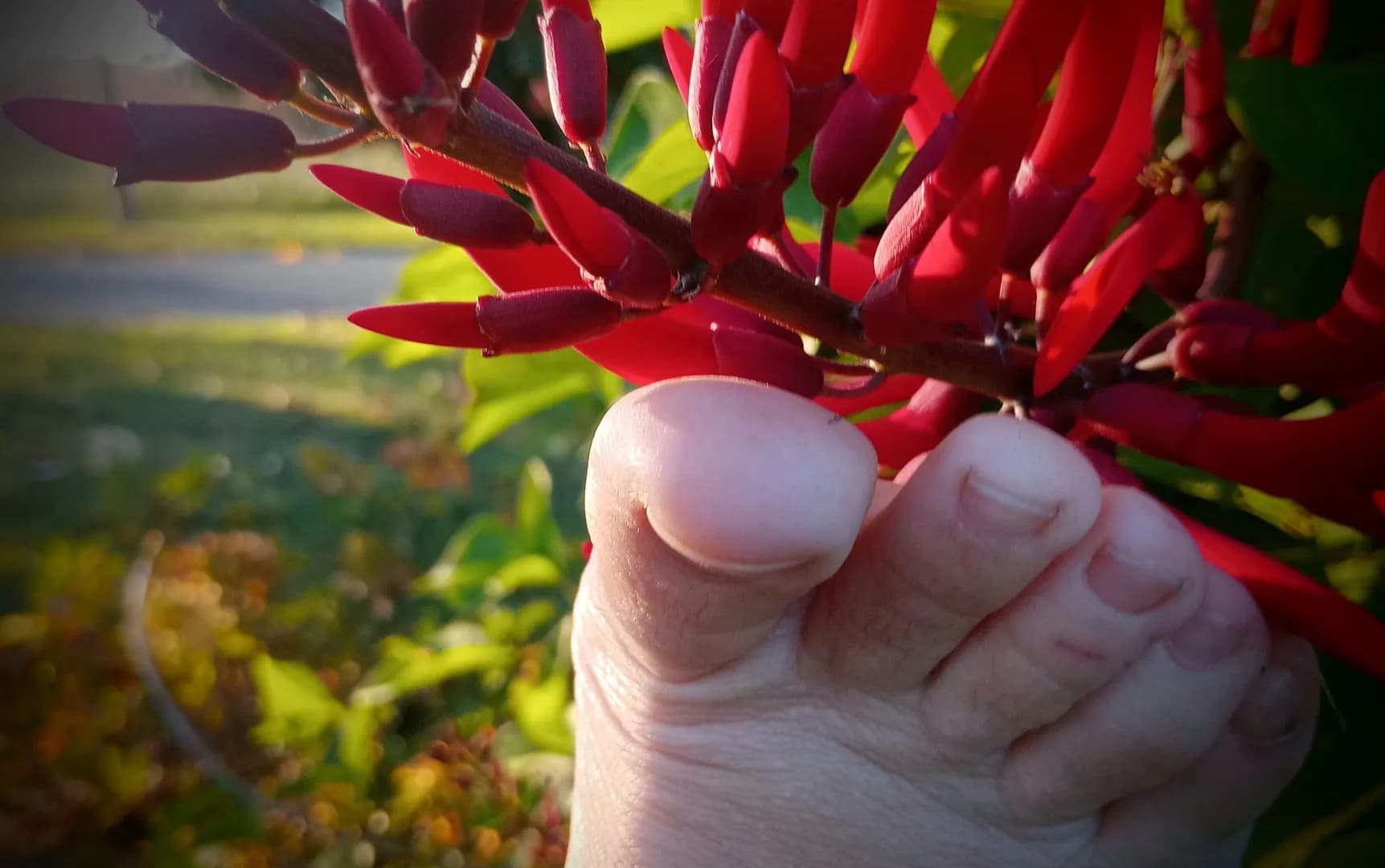 Naturematurep35 – MYM creator profile picture